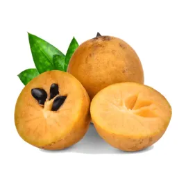sapodilla-owoc-chikoo-swieze