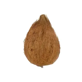 kokos-brown-coconut-swieze