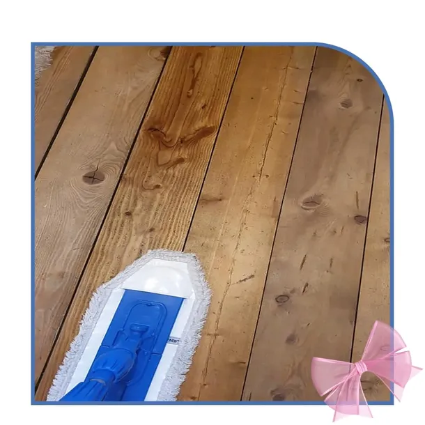 raypath-poduszka-podlogowa-bezowa-wklad-do-mopa-stopa-do-paneli-podloga-rodzaj-mop