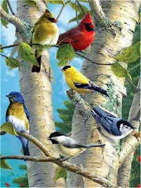 malowanie-po-numerach-40x50-cm-bez-ramki-zestaw-wzor-ptaki-na-galezi
