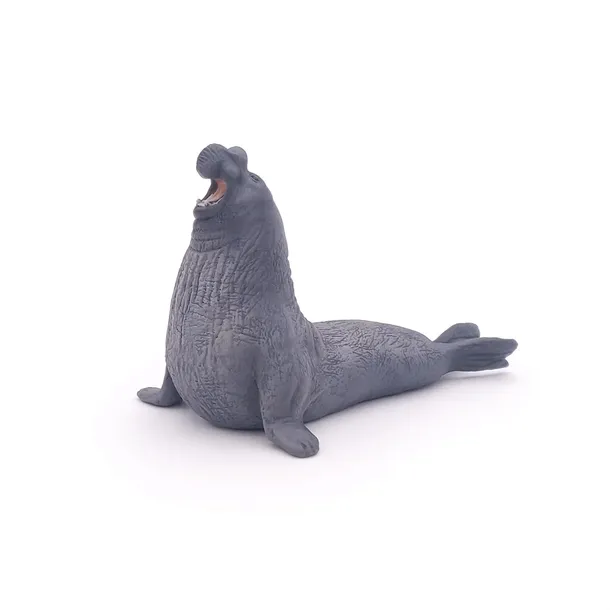 slon-morski-material-plastik