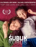 subuk-dvd-stan-nowy