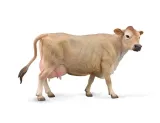 krowa