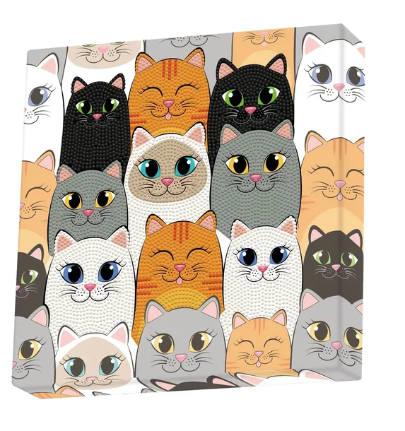 diamond-dotz-box-cat-clan-stan-nowy