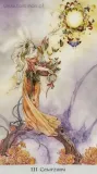 tarot-krainy-cieni-jezyk-polski
