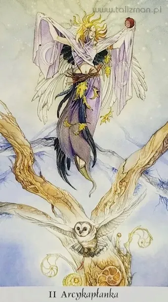 tarot-krainy-cieni-okladka-twarda