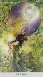 tarot-krainy-cieni-liczba-stron-224
