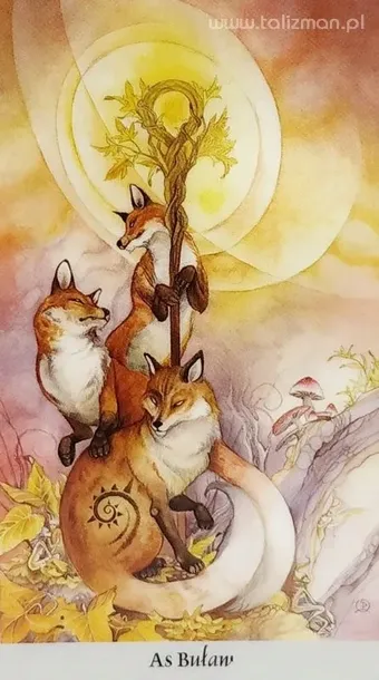 tarot-krainy-cieni-tytul-tarot-krainy-cieni