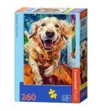 puzzle-260-euphoric-spectrum-castor
