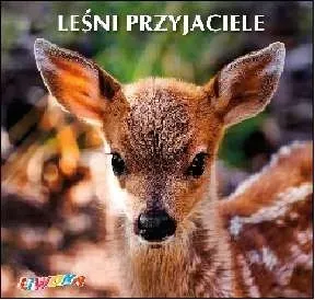 lesni-przyjaciele-stan-nowy