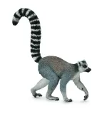 ring-tailed-lemur