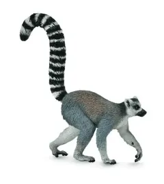 ring-tailed-lemur