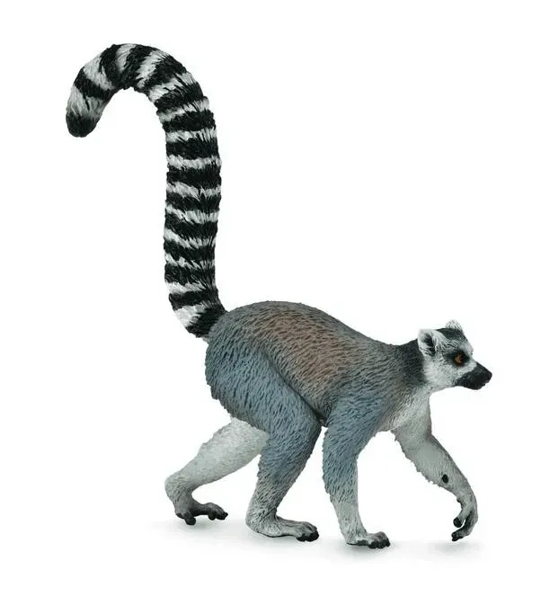 ring-tailed-lemur