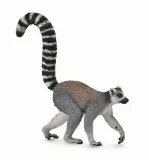 ring-tailed-lemur-stan-nowy