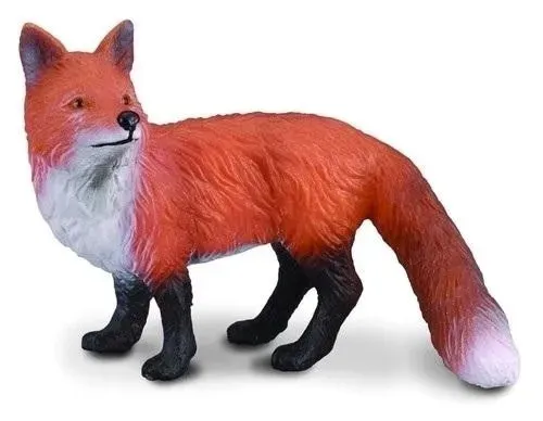 lis-pospolity