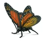 motyl-krolewski