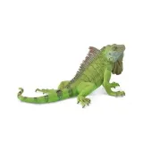 iguana-stan-nowy