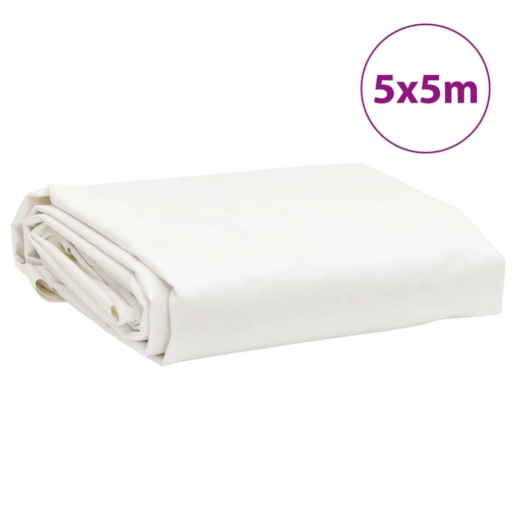plandeka-biala-5x5-m-650-g-m