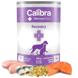 calibra-vd-dog-cat-recovery-rekonwalescencja