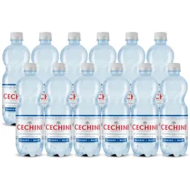 12x-woda-niskonasycona-cechini-muszyna-wysokozmineralizowana-05l