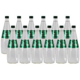 12x-woda-niskonasycona-cechini-muszyna-wysokozmineralizowana-szklana-033