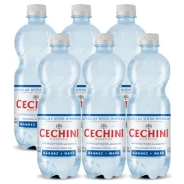 6x-woda-niskonasycona-cechini-muszyna-wysokozmineralizowana-05l