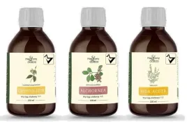 zestaw-magiczny-ogrod-protokol-csa-wg-buhnera-3-x-250-ml-na-babejszioze