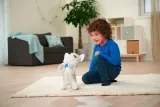 chi-chi-love-happy-husky