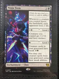 magic-the-gathering-ninja-teen