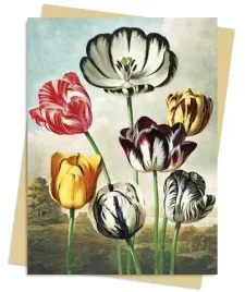 karnet-b6-tulipany-temple-of-flora