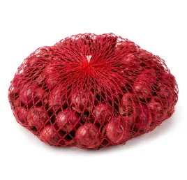 cebula-dymka-czerwona-scarlet-do-ogrodu-i-na-dzialke-05-kg