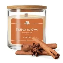 big-nature-swieca-sojowa-cynamon-215-g