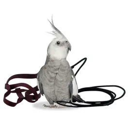 szelki-dla-papug-aviator-xxs-niebieskie