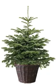 kosz-wiklinowy-pod-choinke-fi-30-cm