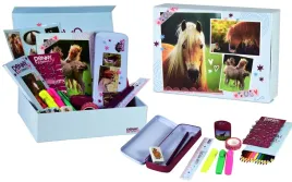 zestaw-prezentowy-przyborow-szkolnych-piornik-kredki-pennyandfriends-box
