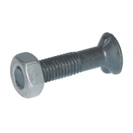sruba-pluzna-2-noskowa-10302n-m10x30-mm-kl-8-8-z-nakretka
