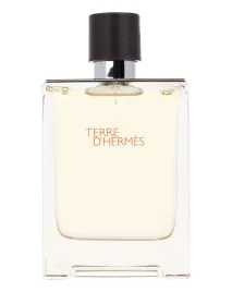 hermes-terre-dhermes-woda-toaletowa-100ml