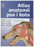 atlas-anatomii-psa-i-kota