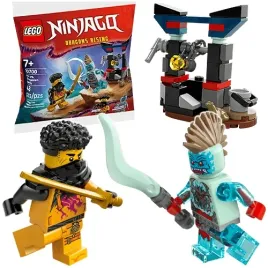 lego-ninjago-bitwa-arina-z-dragonem-figurki-saszetka-48-elementow-30700