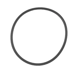 o-ring-kosza-sprzeglowego-3007077x1