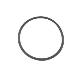 o-ring-mechanizmu-roznicowego-359236x1