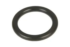 o-ring-obudowy-sprzegla-mokrego-claas-6005018622