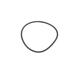 o-ring-tloka-speedshift-massey-ferguson-3382253m1