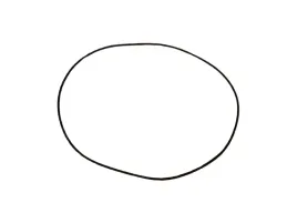 o-ring-obudowy-293x353mm-massey-ferguson-305030603060