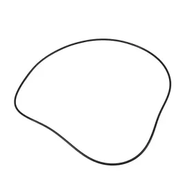 o-ring-tloka-hamulca-3617901m2
