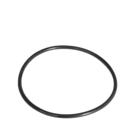 o-ring-skrzyni-massey-ferguson-70924903-359192x1