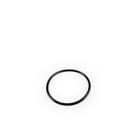 o-ring-fendt-x548901801000