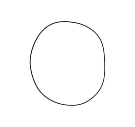 o-ring-tylnej-zwolnicy-fendt-270x3mm