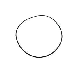 o-ring-tloka-powerschutle-claas-renault-6005018809
