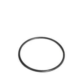 o-ring-walka-ataku-fendt-x548925000000-x548-925-000-000